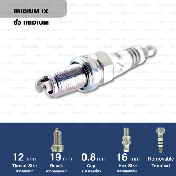 หัวเทียน NGK DCPR8EIX ขั้ว Iridium ใช้สำหรับ Ducati M795, M796 - Made in Japan