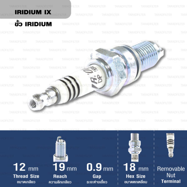 หัวเทียน NGK DPR8EIX-9 ขั้ว Iridium ใช้สำหรับ Triumph Thruxton, Scrambler, Bonneville T100 ตัว air cooler (1 หัว) - Made in Japan