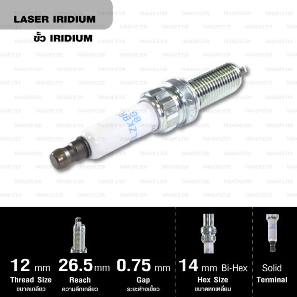 NGK หัวเทียน LASER IRIDIUM ILZKBR7B8G ใช้สำหรับรถยนต์ Mini Cooper ปี 2007 ขึ้นไป - Made in Japan